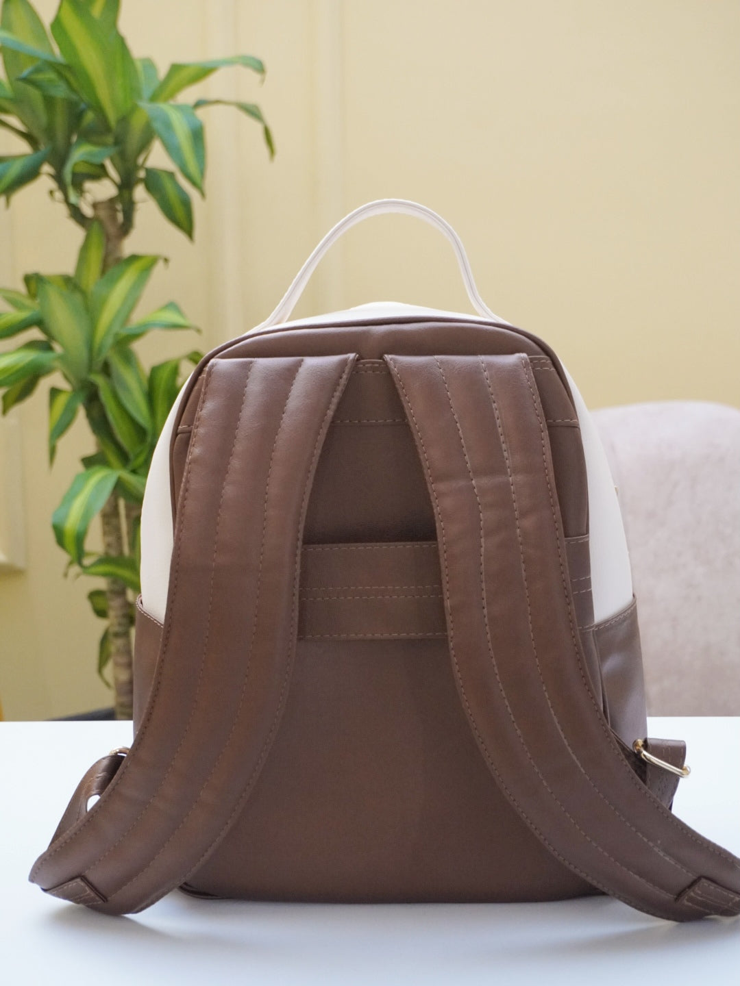 Morral Albania Mocca